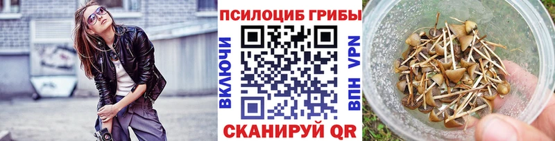 Псилоцибиновые грибы прущие грибы  цены   Мураши 